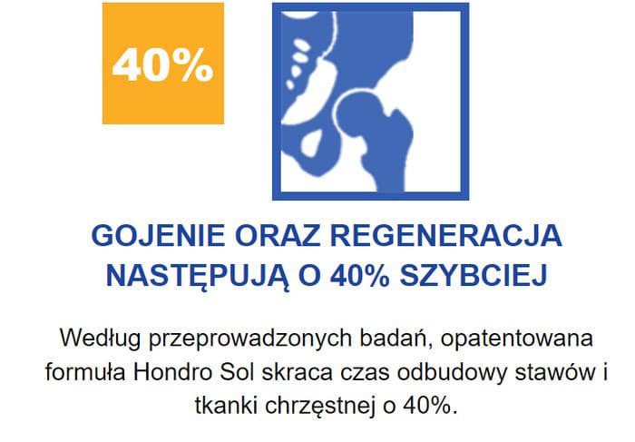 Hondro Sol - Efektywna Ochrona Stawów i Chondroprotekcja - overview